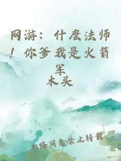 网游：什麽法师！你爹我是火箭军